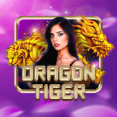 Arena Plus APK Dragon Tiger live casino
